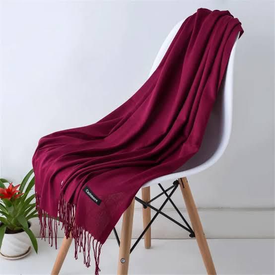 Ladies Pashmina Wool Shawl